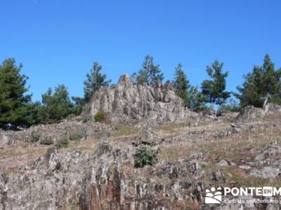 Hiking and Trekking, Parque Natural del Hayedo de Tejera Negra; senderismo la raña